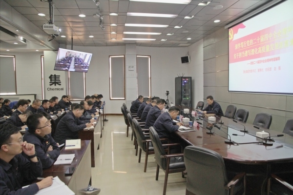 集團(tuán)公司黨委書(shū)記、董事長(zhǎng)、總經(jīng)理趙強(qiáng)專(zhuān)題宣講黨的二十屆四中全會(huì)精神